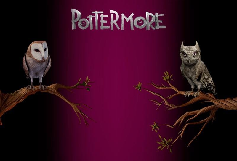 Photos, Tips, Tricks And Everything Pottermore, kwoman32, Apr 3, 2013, 5:36 PM, YourPSHome.net, jpg, 1556134870_1363684073.jpg
