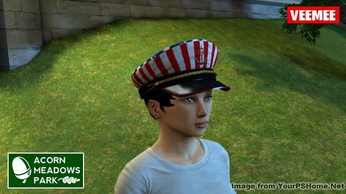 New This Week From Veemee - July 2nd, 2014, kwoman32, Jul 1, 2014, 7:14 AM, YourPSHome.net, jpg, AcornMeadowsPark_4thJuly_684x384_2014-07-02_D.jpg