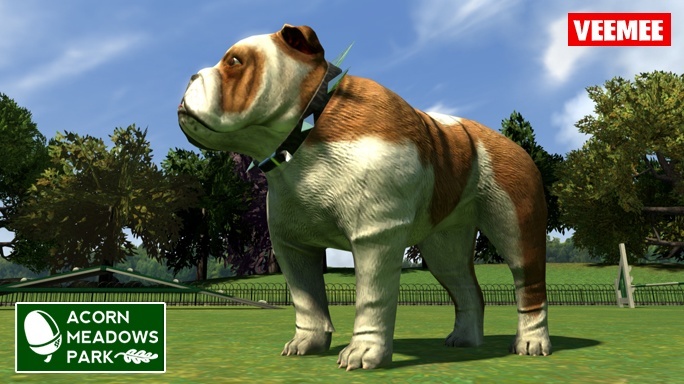 New This Week From Veemee - Jan. 29th, 2014, kwoman32, Jan 27, 2014, 1:51 PM, YourPSHome.net, jpg, AcornMeadowsPark_Bulldog_2014-01-29_684x384.jpg