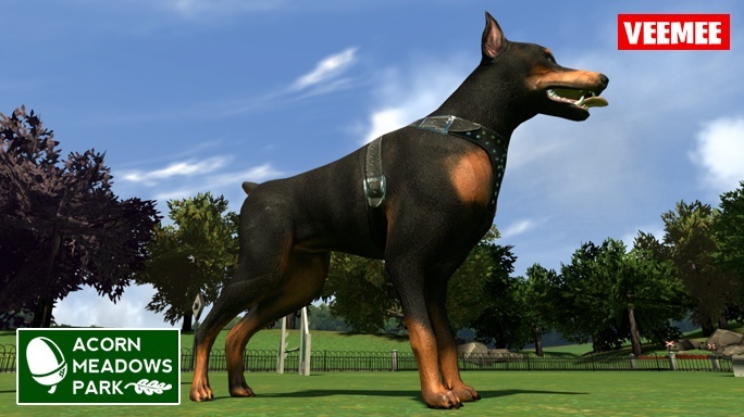 New This Week From Veemee - Jan. 29th, 2014, kwoman32, Jan 27, 2014, 1:51 PM, YourPSHome.net, jpg, AcornMeadowsPark_Doberman_2014-01-29_684x384.jpg