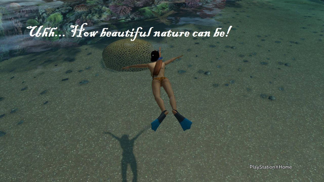 Lockwood Dream Island Photo Contest, Torag, Sep 5, 2012, 10:13 PM, YourPSHome.net, jpg, E4b.jpg