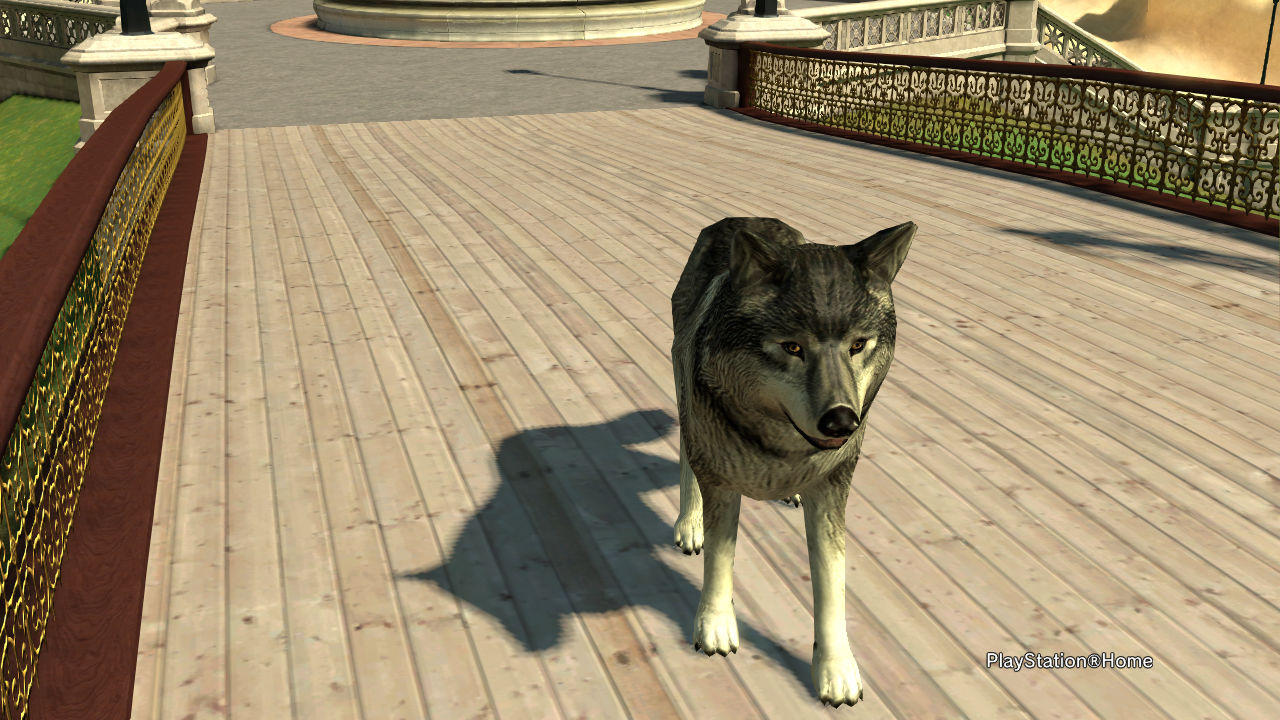 Share Your Memories of Home, avilesc, Nov 12, 2014, 10:17 PM, YourPSHome.net, jpg, PlayStation(R)Home Picture 11-12-2014 13-57-37.jpg