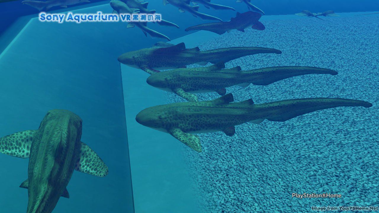 THE PHOTO ART CLUB, kwoman32, Jul 15, 2014, 6:09 AM, YourPSHome.net, jpg, Sony Aquarium VR 黒潮の海.jpg