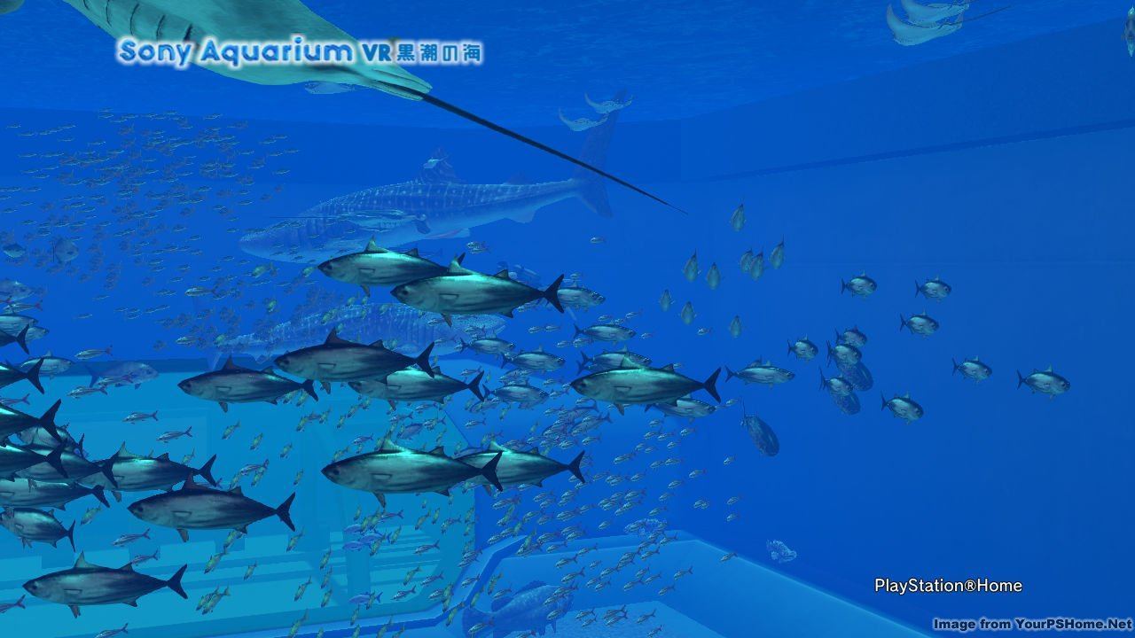 THE PHOTO ART CLUB, kwoman32, Jul 15, 2014, 6:09 AM, YourPSHome.net, jpg, Sony Aquarium VR 黒潮の海_1.jpg