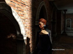 PlayStation(R)Home Picture 07-16-2013 00-26-21.jpg