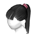Pasha Hair.png