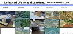 LKWOODLIFE WENESDAY 14TH.jpg