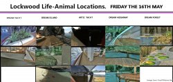 LKWOODLIFE FRIDAY 16TH MAY.jpg