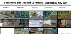LKWOODLIFE wendesday 21st may.jpg
