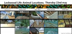 LKWOODLIFE thursday 22nd may.jpg