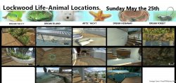 LKWOODLIFE sunday25th may.jpg