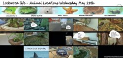 wednesday the 28th may.jpg