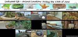 friday the 13th of june.jpg