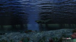 Kaichu_20120430_223449.jpg
