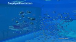 Sony Aquarium VR 黒潮の海_2.jpg