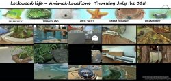 thursday july the 31st.jpg