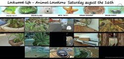 saturday 16th of august.jpg
