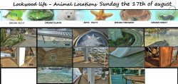 sunday the 17th of august.jpg