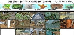 LKWOODLIFE saturday august the 23rd.jpg