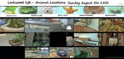 AUGUST THE 24th sunday.jpg