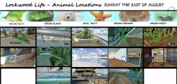 SUNDAY 31ST OF AUGUST.jpg