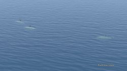 SouthIsland (21).jpg