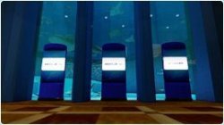 kuroshio_img07.jpg