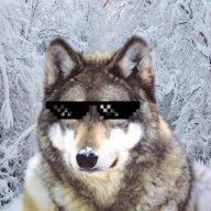 CaptOfWolves