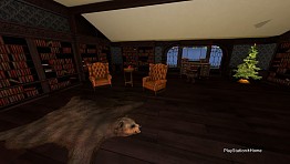 PlayStation(R)Home Picture 12-22-2013 15-57-53.jpg