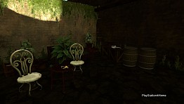 PlayStation(R)Home Picture 23-07-2014 21-23-29.jpg