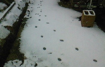 SP_A0255.jpg