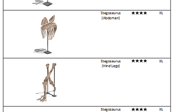 Stegosaurus fossil list.png