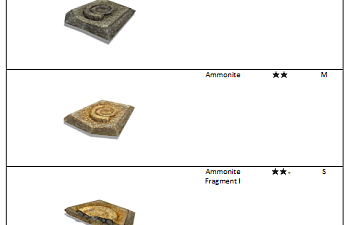 Ammonite fossil list.png