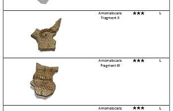 Amomalocaris fossil list.png