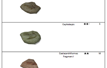 Fish fossil list.png