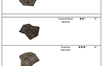 Shellfish fossil list.png