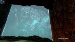 PlayStation_Home_Picture_26-2-2011_14-16-56.jpg