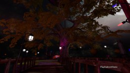 PlayStation_Home_Picture_26-12-2011_12-44-43.jpg