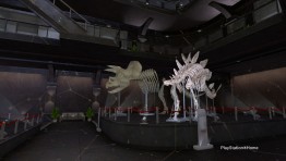 PlayStation(R)Home Picture 01-02-2013 22-41-37.jpg