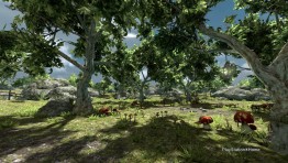 PlayStation_R_Home_Picture_8-9-2012_21-04-56.jpg