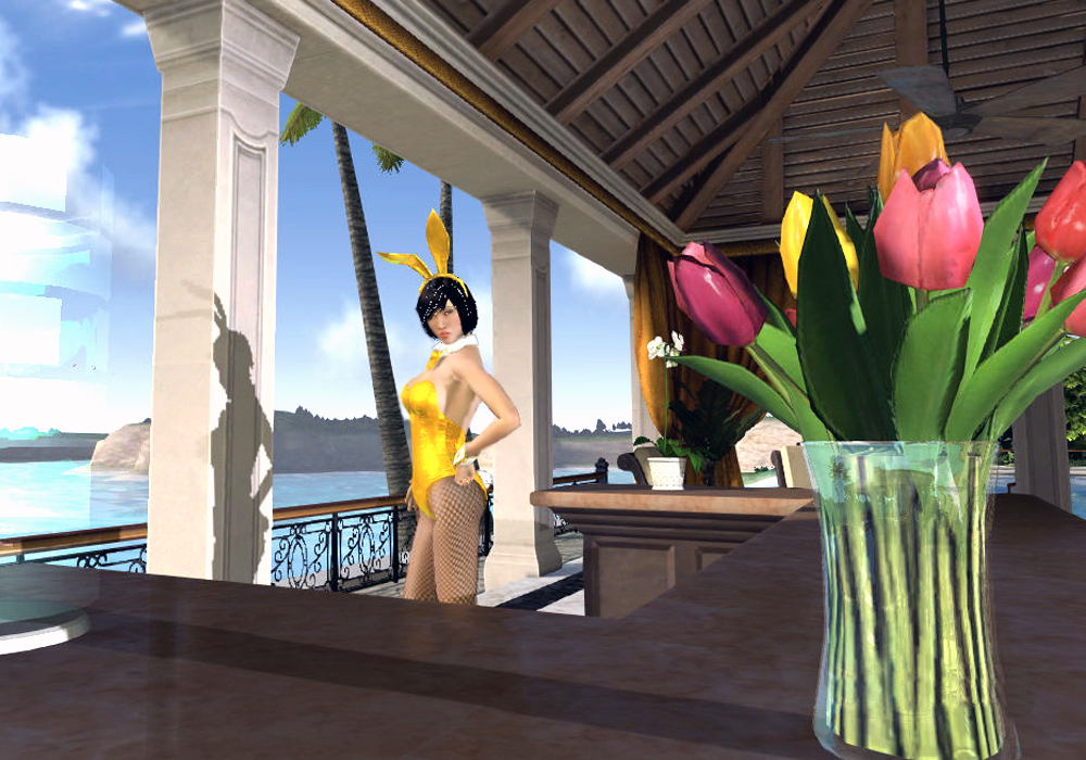 The Ladies Fashion Runway, Jan 16, 2011, 3:30 PM, YourPSHome.net, 1525