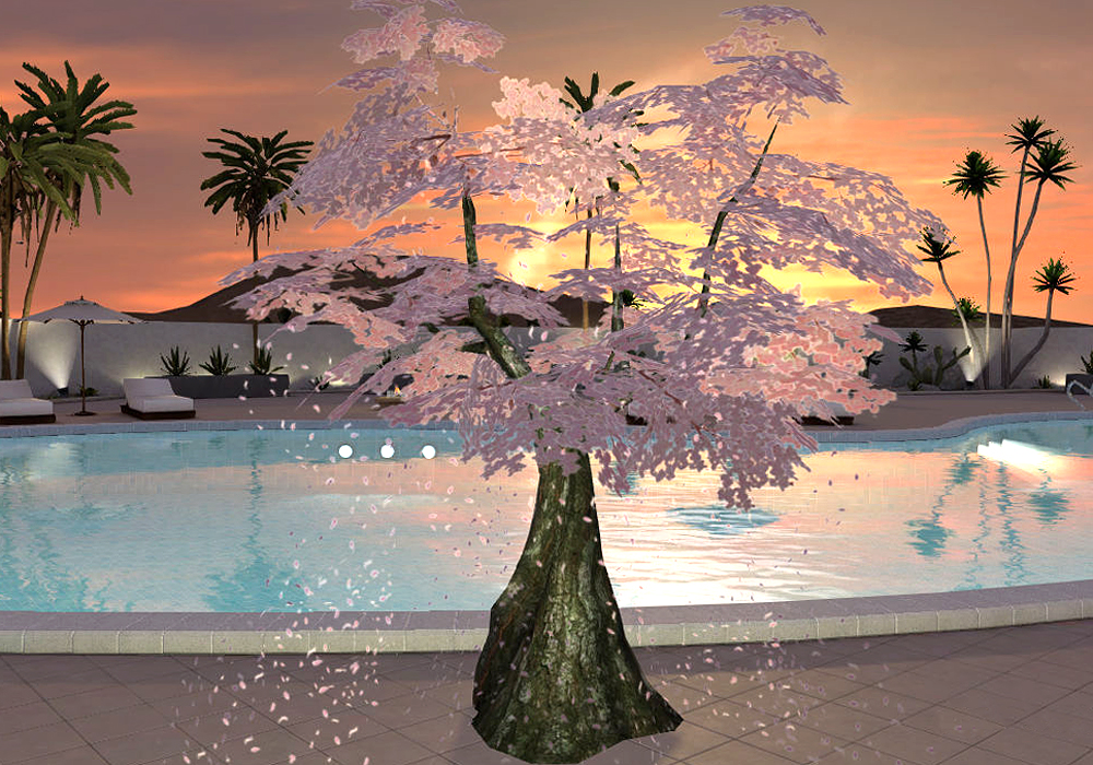 The Ladies Fashion Runway, Jan 16, 2011, 3:30 PM, YourPSHome.net, 1525