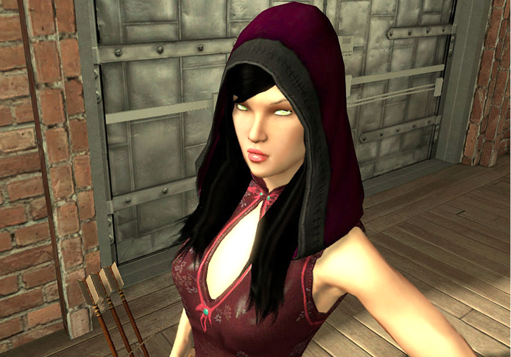 The Ladies Fashion Runway, Jan 16, 2011, 3:30 PM, YourPSHome.net, 1525