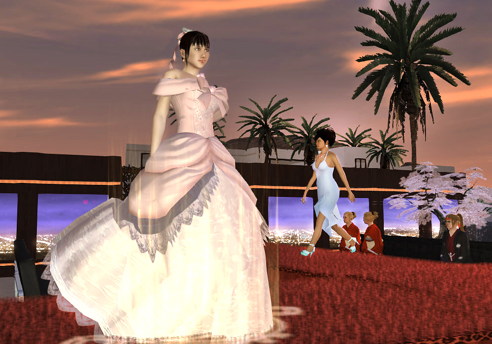 The Ladies Fashion Runway, Jan 16, 2011, 3:30 PM, YourPSHome.net, 1525