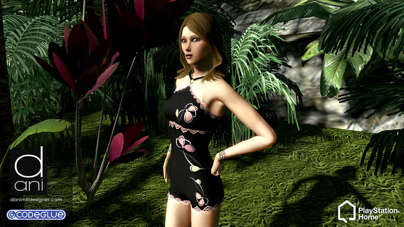 Codeglue, Jun 23, 2011, 2:06 AM, YourPSHome.net, 3153