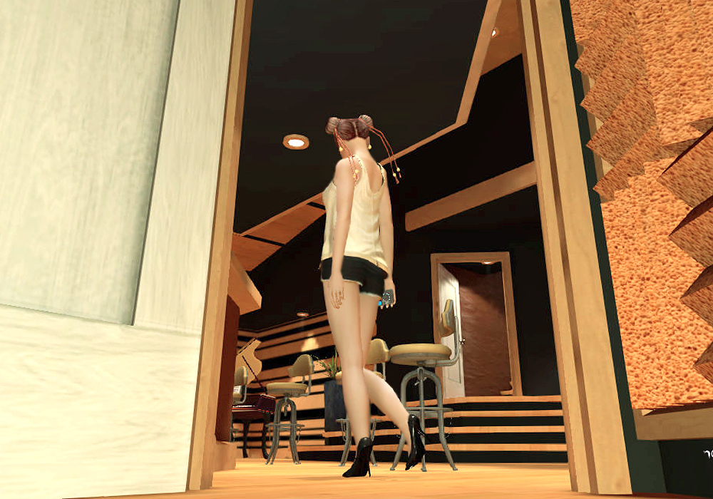 The Ladies Fashion Runway, Jan 16, 2011, 3:30 PM, YourPSHome.net, 1525