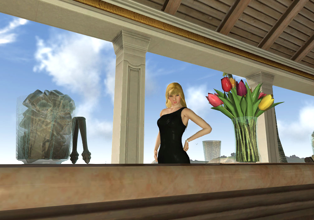 The Ladies Fashion Runway, Jan 16, 2011, 3:30 PM, YourPSHome.net, 1525