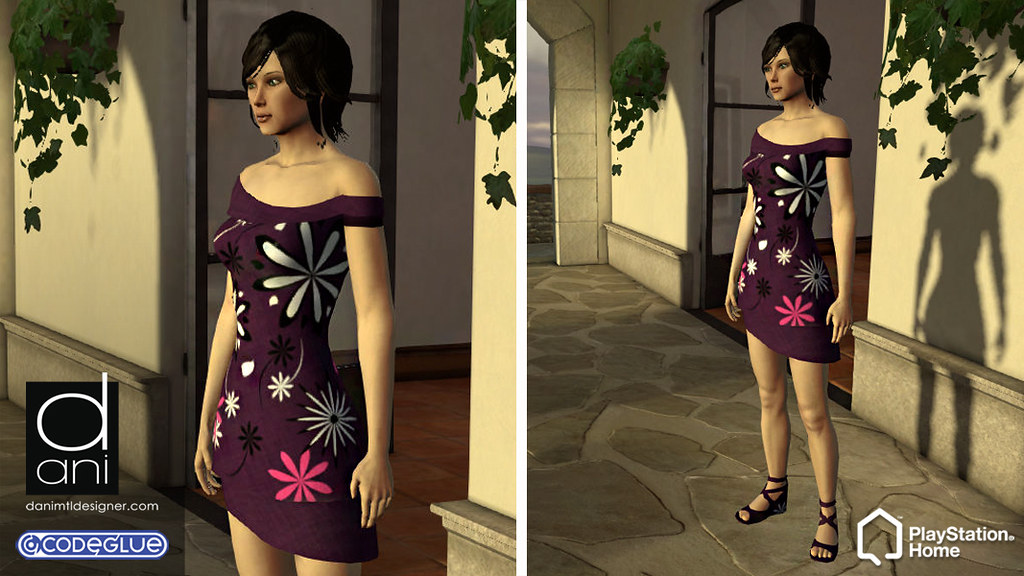 The Ladies Fashion Runway, Jan 16, 2011, 3:30 PM, YourPSHome.net, 1525