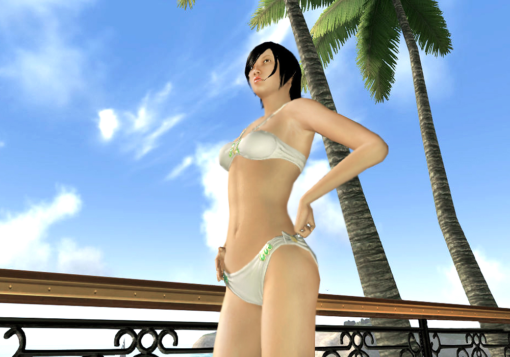 The Ladies Fashion Runway, Jan 16, 2011, 3:30 PM, YourPSHome.net, 1525
