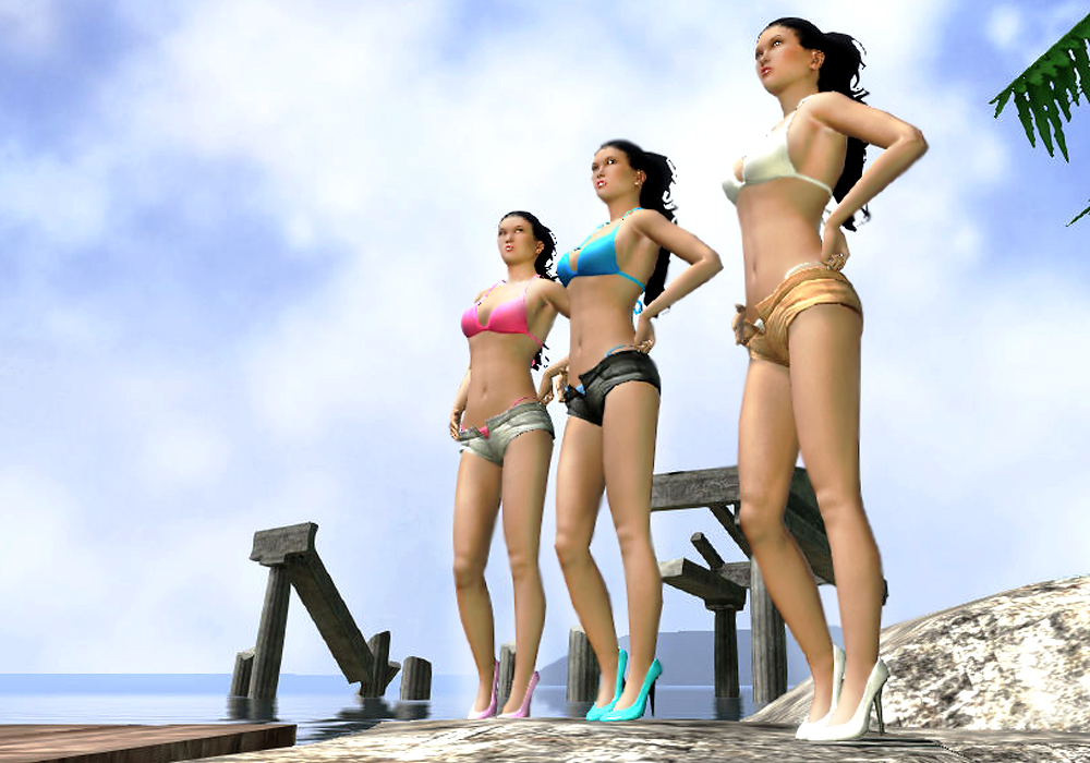 The Ladies Fashion Runway, Jan 16, 2011, 3:30 PM, YourPSHome.net, 1525